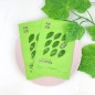 Holika Holika - Pure Essence Mask Sheet - Green Tea - Maska w Płachcie z Ekstraktem z Zielonej Herbaty - 23ml